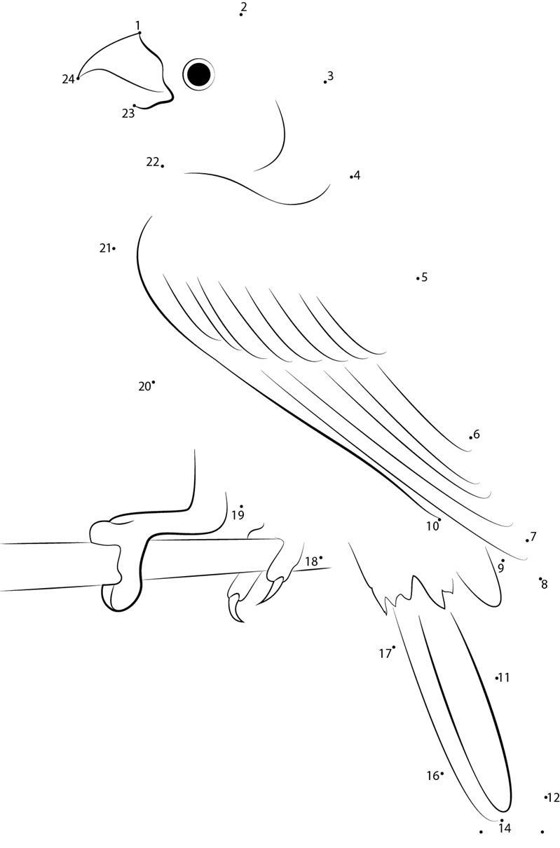 Purple Finch Haemorhous Purpureus dot to dot worksheets