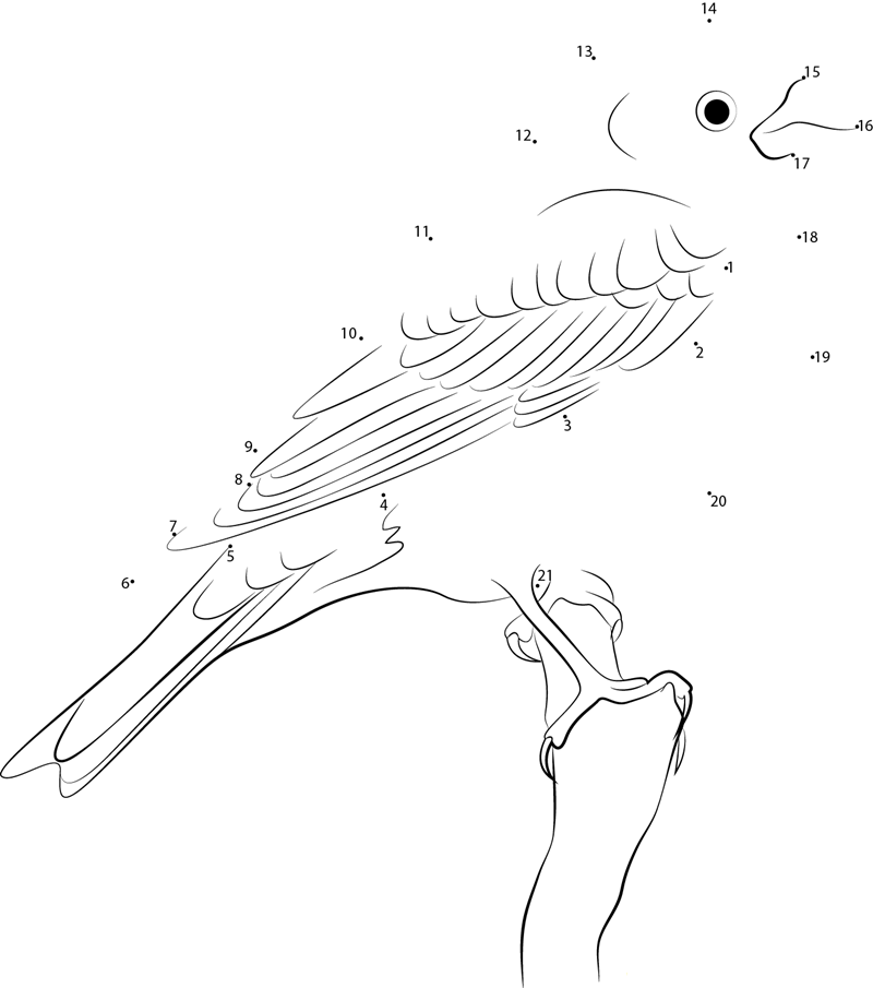 Purple Finch Look dot to dot worksheets