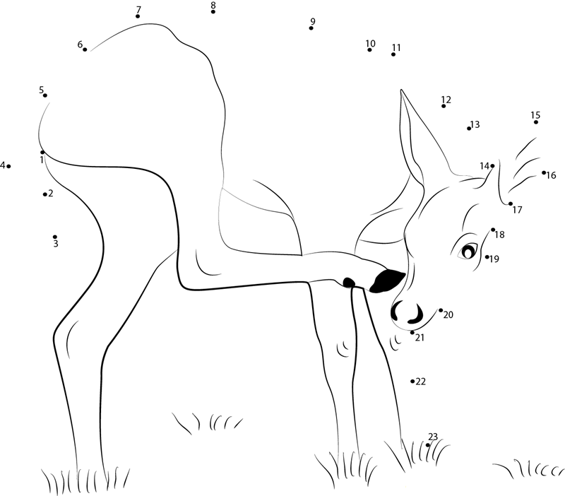 Male Key Deer dot to dot worksheets