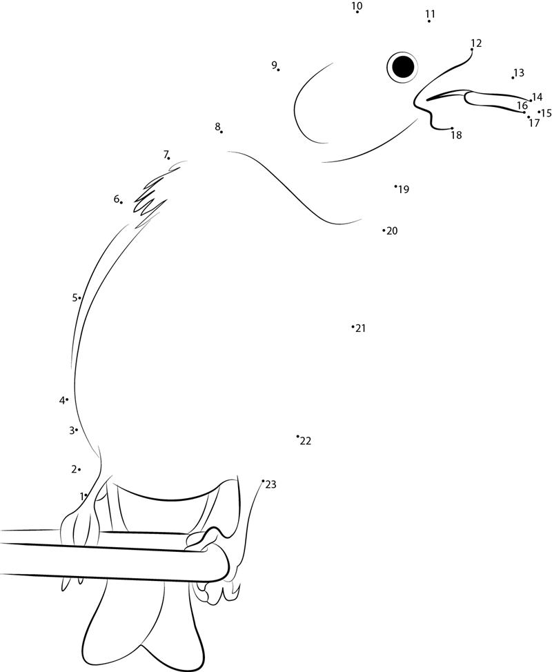 Purple Finch Male At Feeder printable dot to dot worksheet