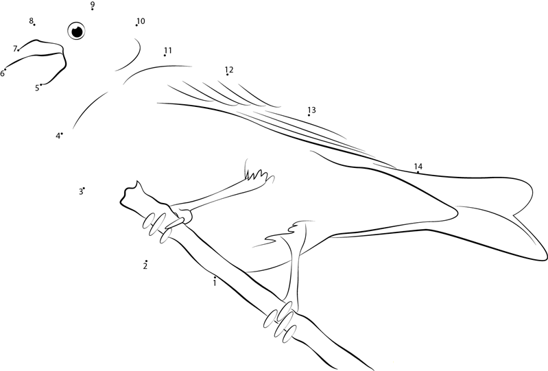 Purple Finch Nesting Male dot to dot worksheets