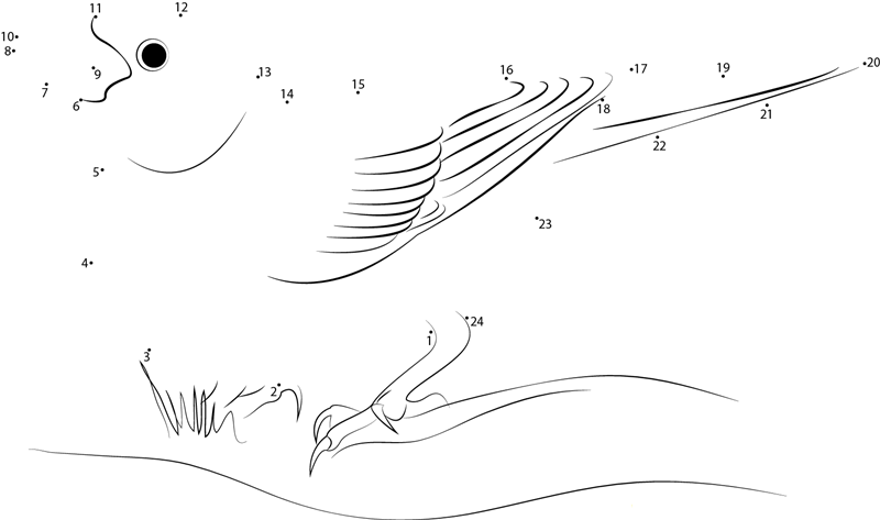 Purple Finch Ojibway Park dot to dot worksheets