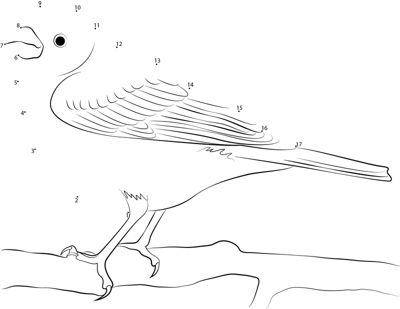 Purple Finch On Crabapple dot to dot worksheets