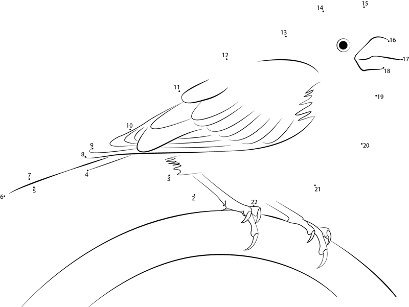 Relax Purple Finch printable dot to dot worksheet