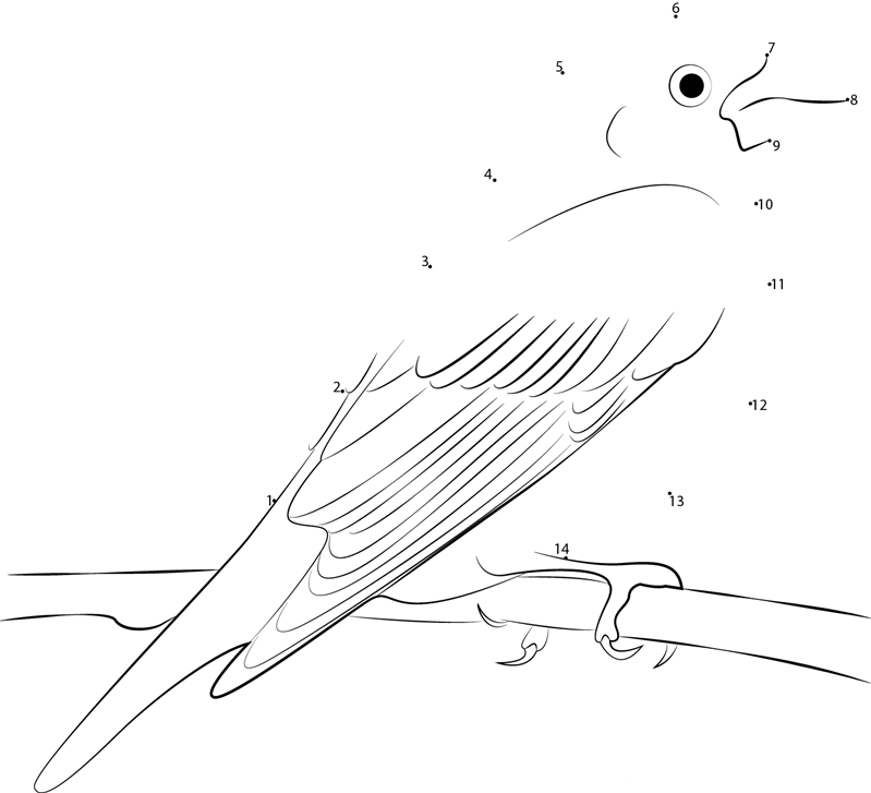 Rest Purple Finch printable dot to dot worksheet