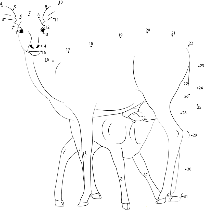 Mother Doe And Fawn dot to dot worksheets