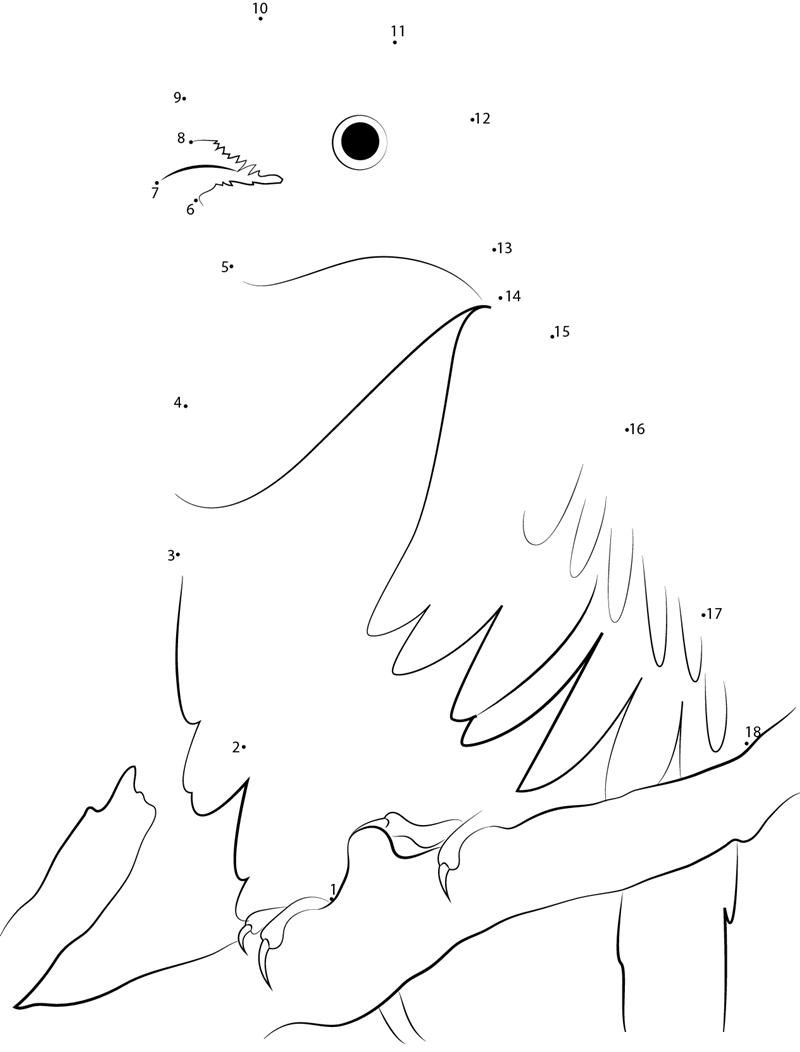 Close Up Quetzal printable dot to dot worksheet