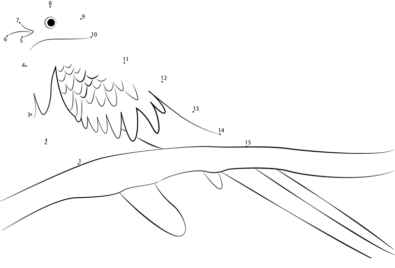 Golden Headed Quetzal printable dot to dot worksheet