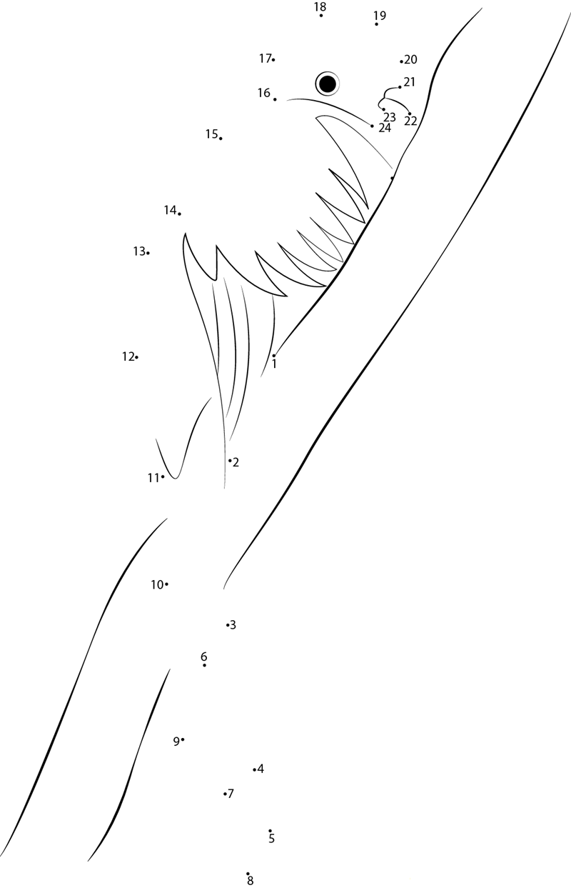 Quetzal printable dot to dot worksheet