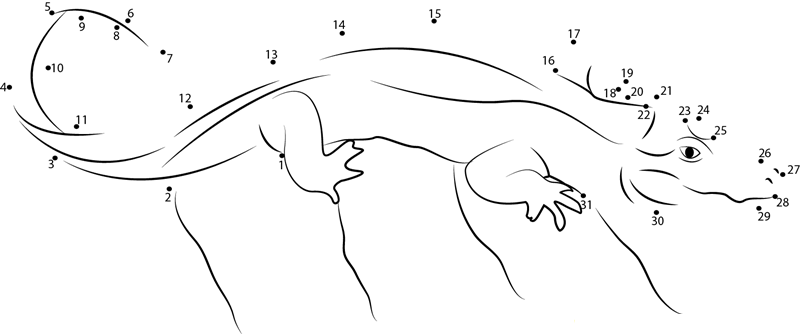 Big Chinese Alligator printable dot to dot worksheet