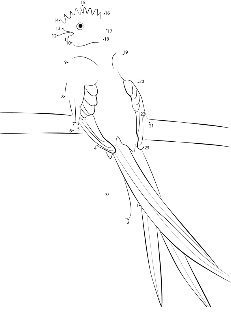 Resplendent Quetzal printable dot to dot worksheet