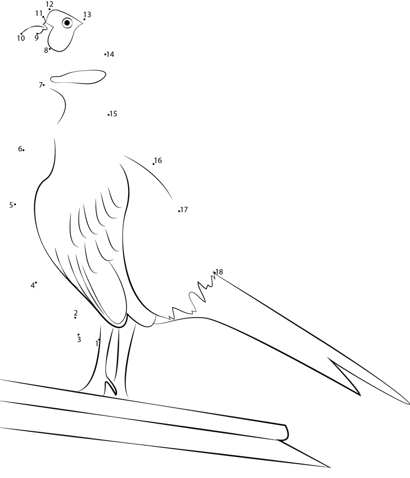 Amazing Ringnecked Pheasant printable dot to dot worksheet