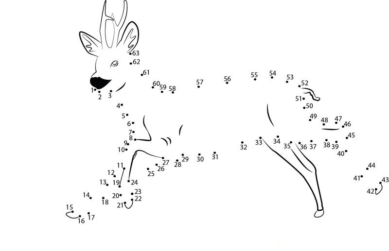 Sweet Deer dot to dot worksheets