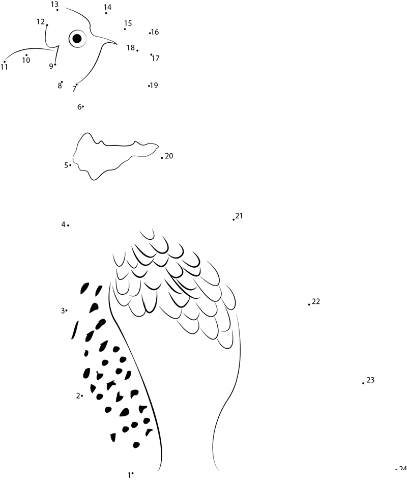 Close Up Of Ringnecked Pheasant printable dot to dot worksheet