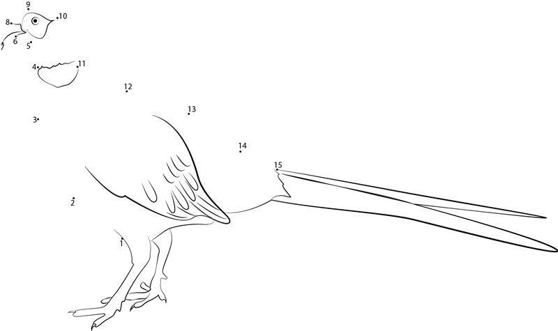 Extra Large Ringnecked Pheasants printable dot to dot worksheet