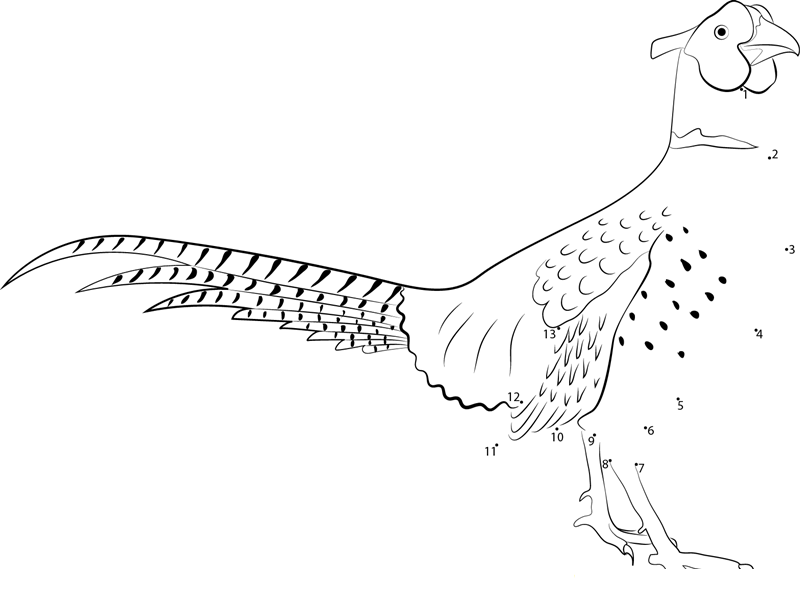 Ringnecked Pheasant Standing printable dot to dot worksheet