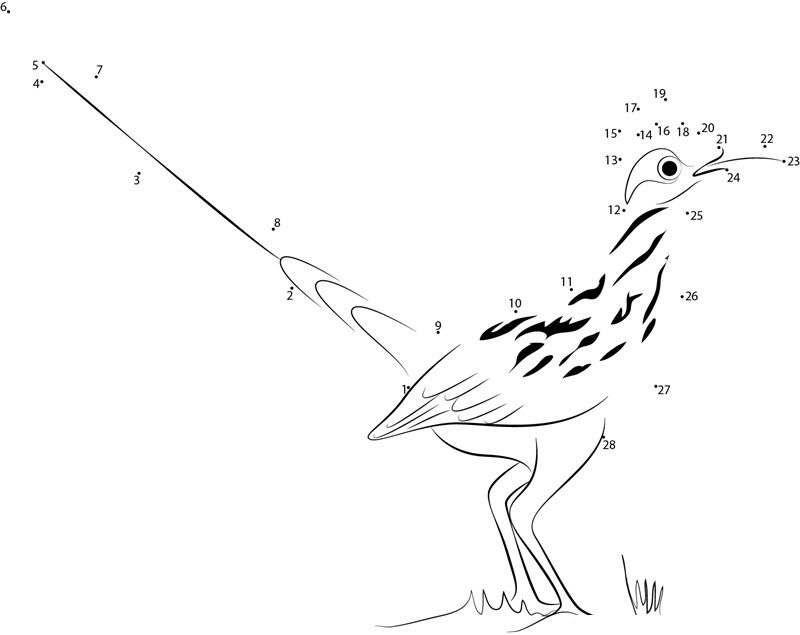 Greater Roadrunnergeococcyx Californianus dot to dot worksheets