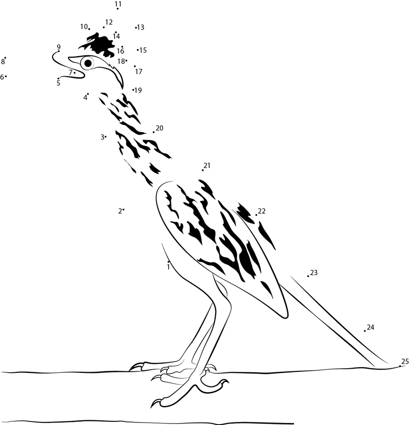 Ground Cuckoo dot to dot worksheets