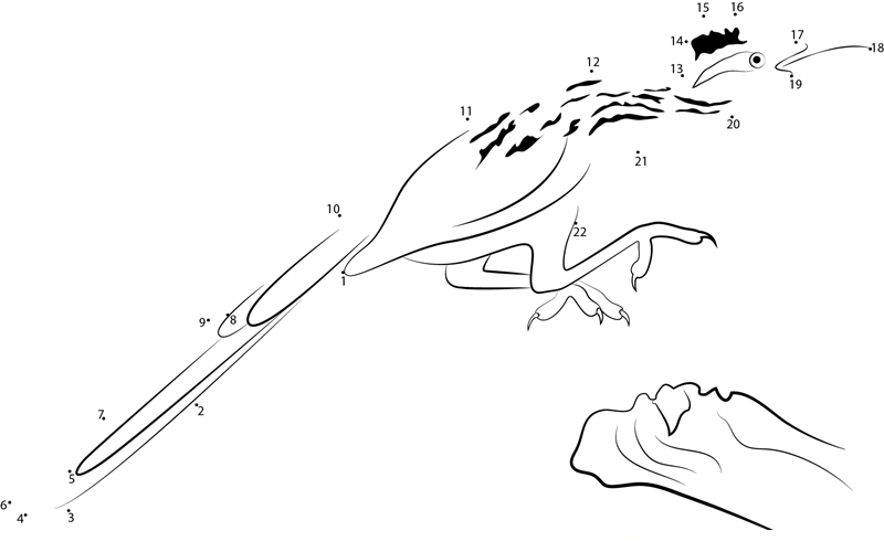 Leaping Roadrunner dot to dot worksheets