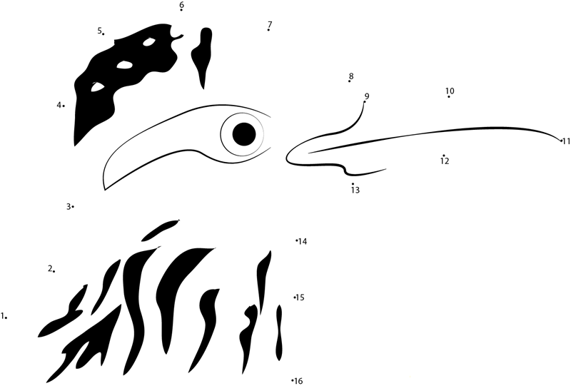 Roadrunner Face dot to dot worksheets