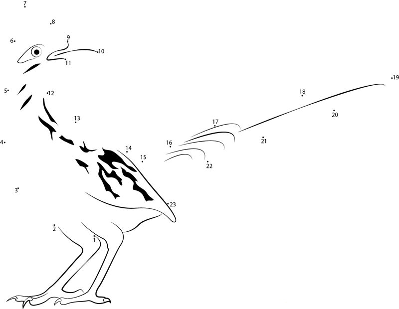 Roadrunner Looking Back dot to dot worksheets