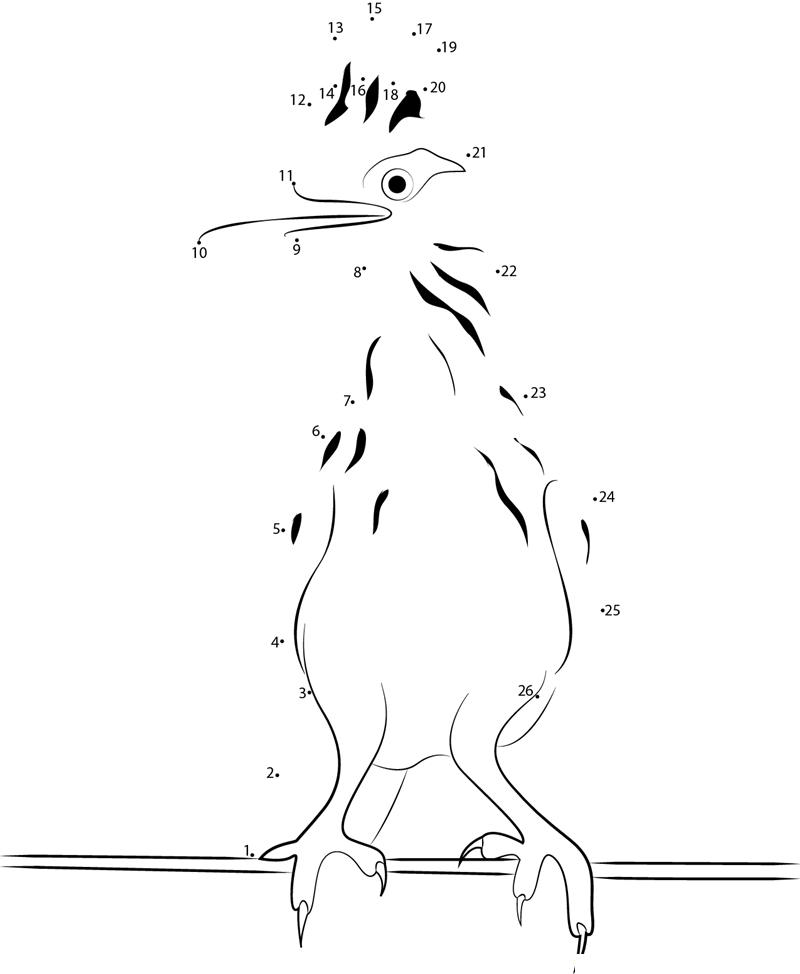 Roadrunner On Fence dot to dot worksheets