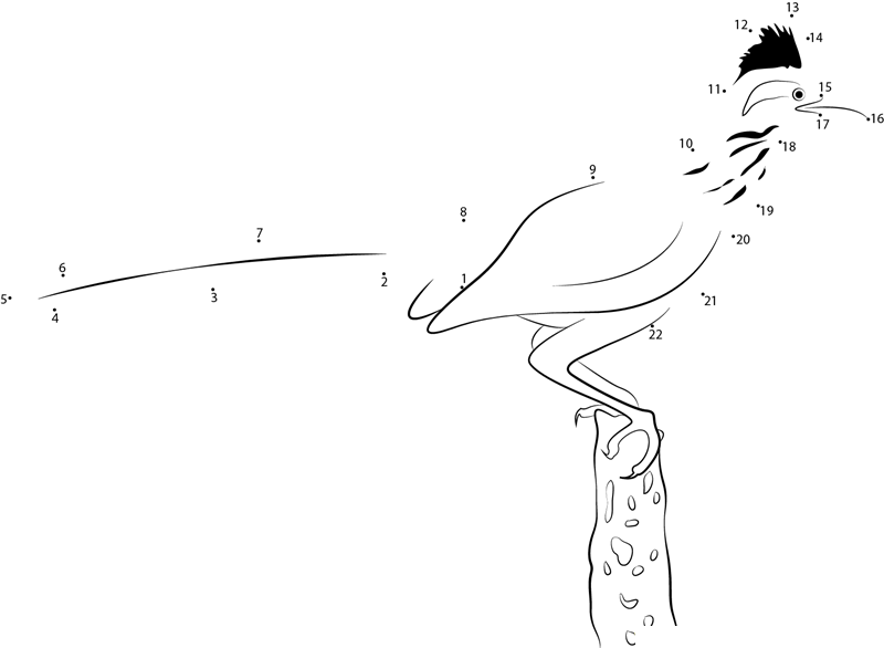 Roadrunner Standing On Wood dot to dot worksheets