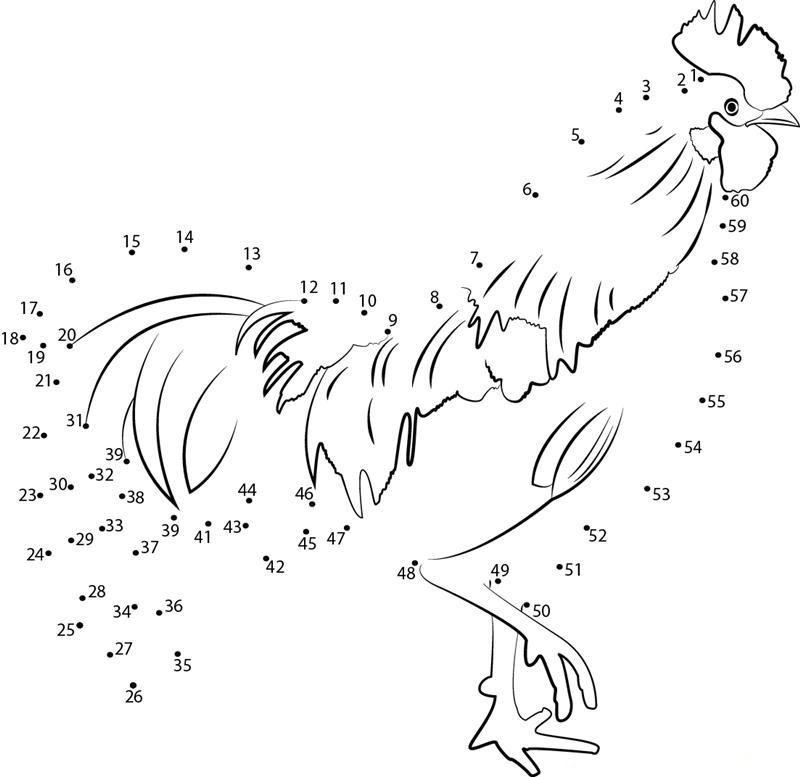 Tired Rooster dot to dot worksheets