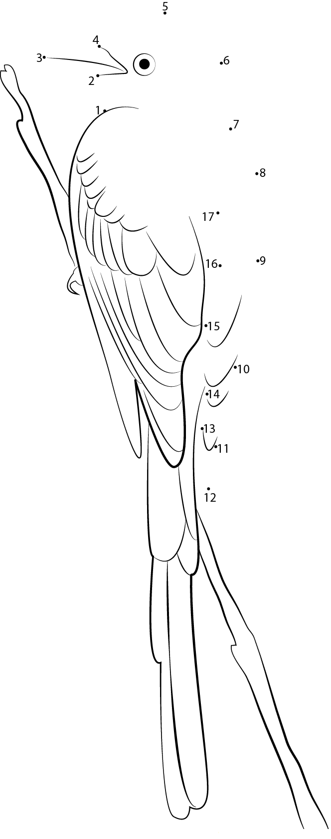 Adult Male Scissortailed Flycatcher dot to dot worksheets