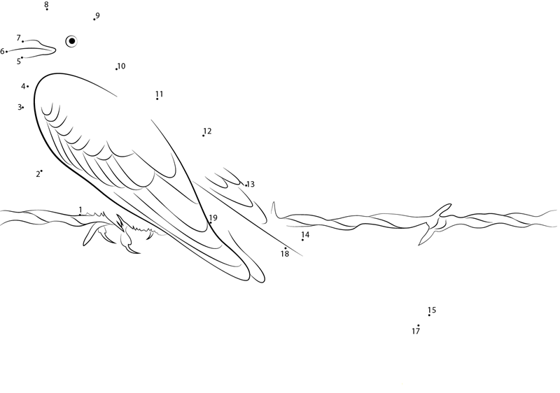 Beautiful Scissortailed Flycatcher Bird printable dot to dot worksheet