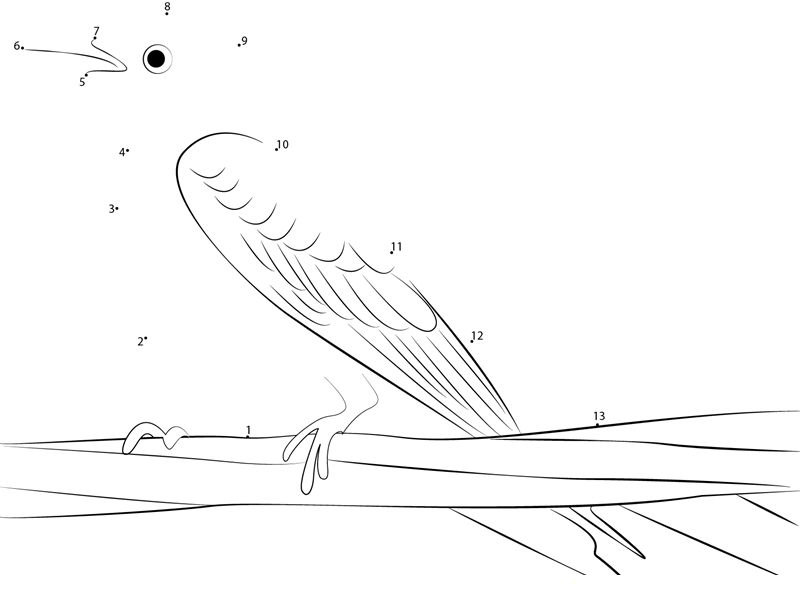 Close Up Of Scissortailed Flycatcher printable dot to dot worksheet