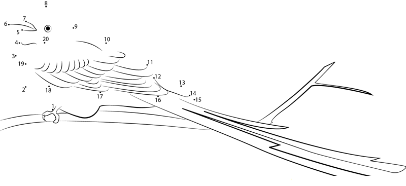 Colorful Scissortailed Flycatcher printable dot to dot worksheet