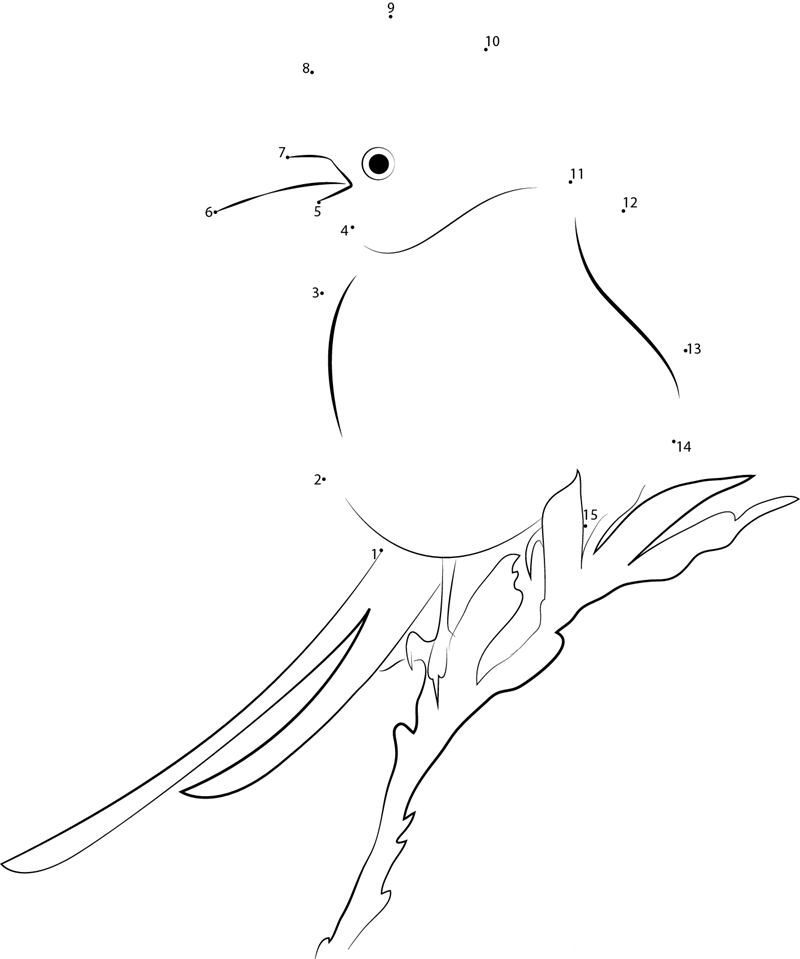 Little Scissortailed Flycatcher dot to dot worksheets