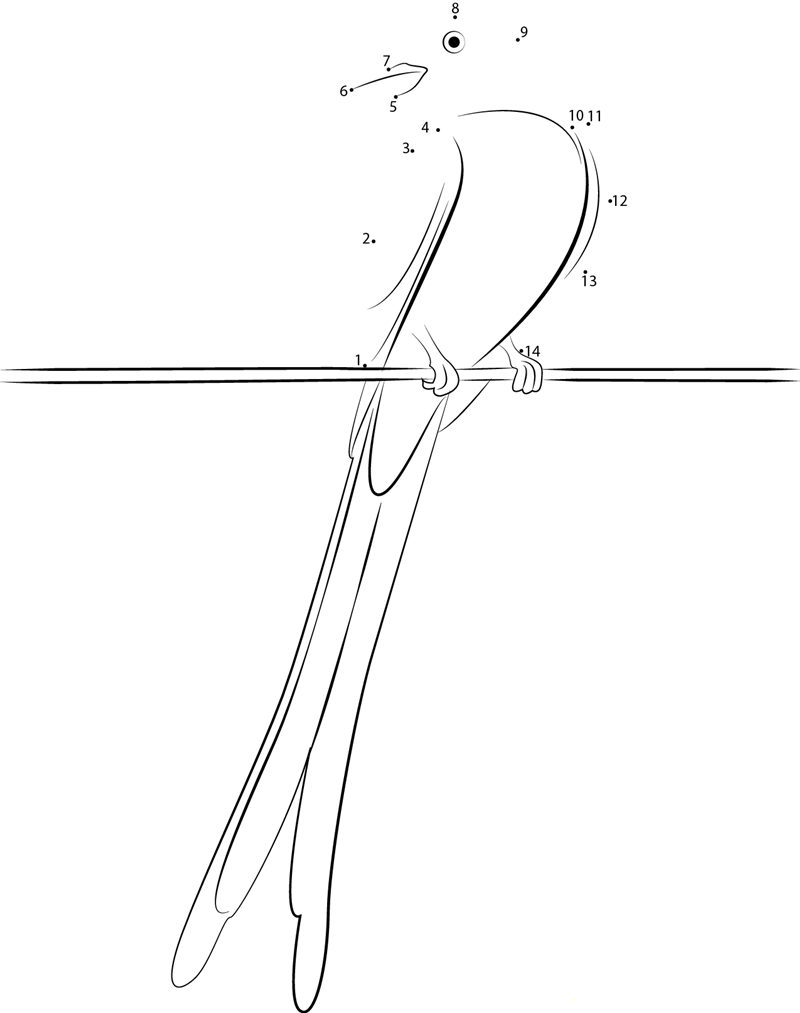 Look Scissortailed Flycatcher dot to dot worksheets