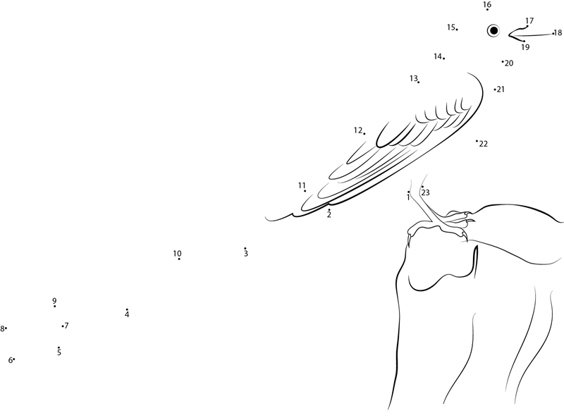 Scissortailed Flycatcher At The National Aviary printable dot to dot worksheet