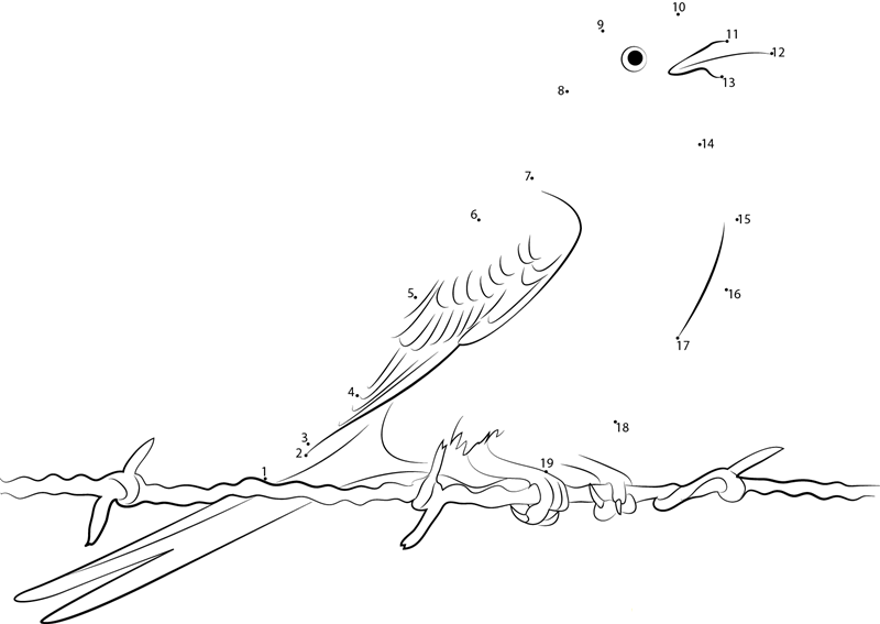 Scissortailed Flycatcher Bird printable dot to dot worksheet