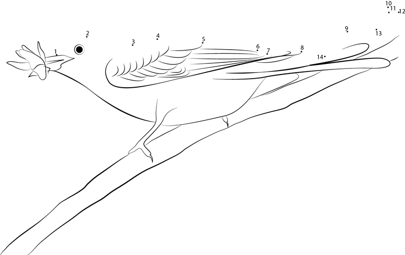 Scissortailed Flycatcher Eating Fly printable dot to dot worksheet