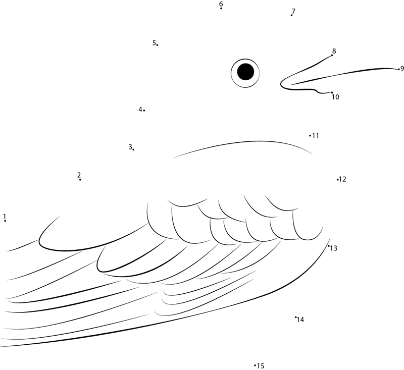 Scissortailed Flycatcher Face printable dot to dot worksheet