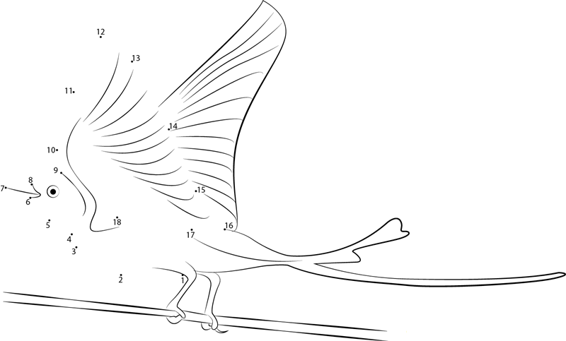 Scissortailed Flycatcher Male Wing Up printable dot to dot worksheet