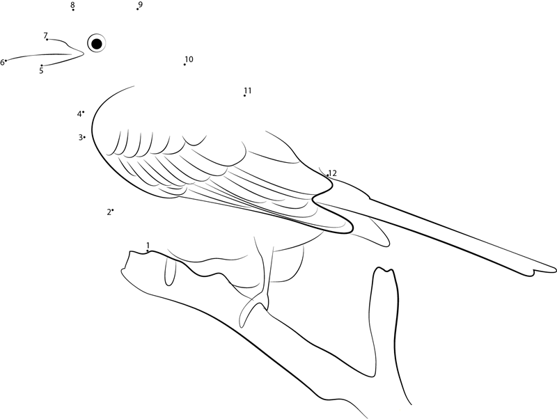 Scissortailed Flycatcher Ready To Take Flight printable dot to dot worksheet