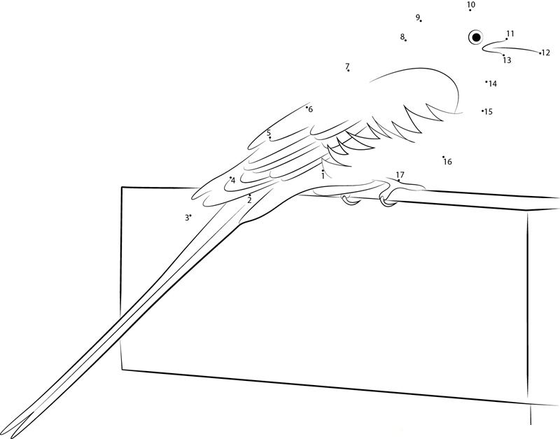 Scissortailed Flycatcher Resting printable dot to dot worksheet