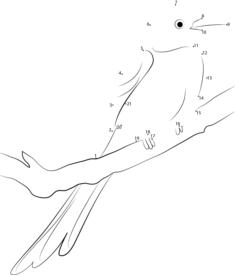 Scissortailed Flycatcher Sitting On Tree printable dot to dot worksheet