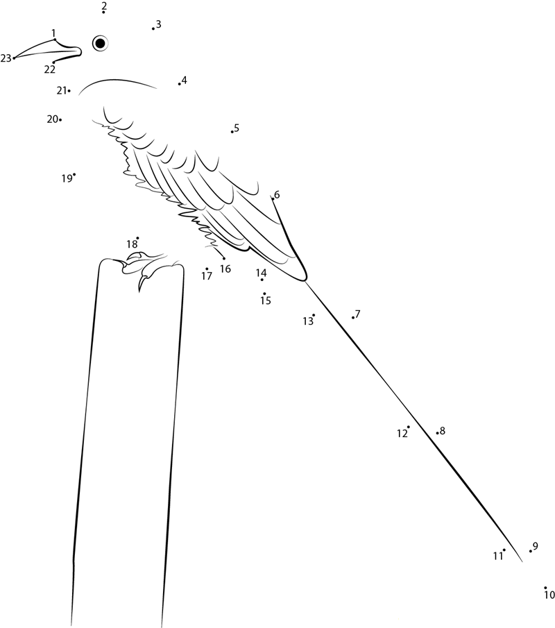 Scissortailed Flycatcher State Bird Of Oklahoma printable dot to dot worksheet