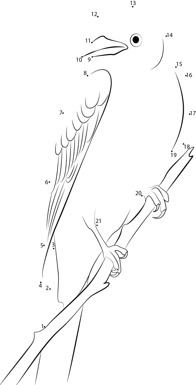 Scissortailed Flycatcher Tyrannus Forficatus printable dot to dot worksheet