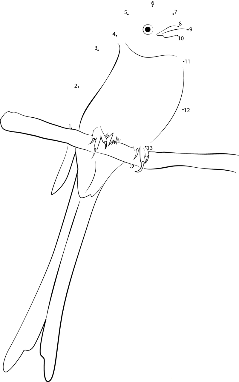 Sitting Scissortailed Flycatcher printable dot to dot worksheet