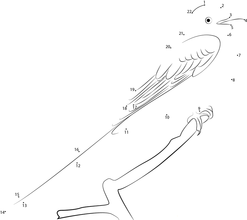 The Scissortailed Flycatcher printable dot to dot worksheet