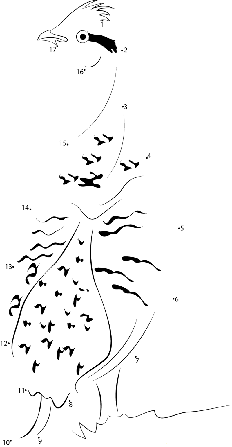 Grouse Back Side printable dot to dot worksheet