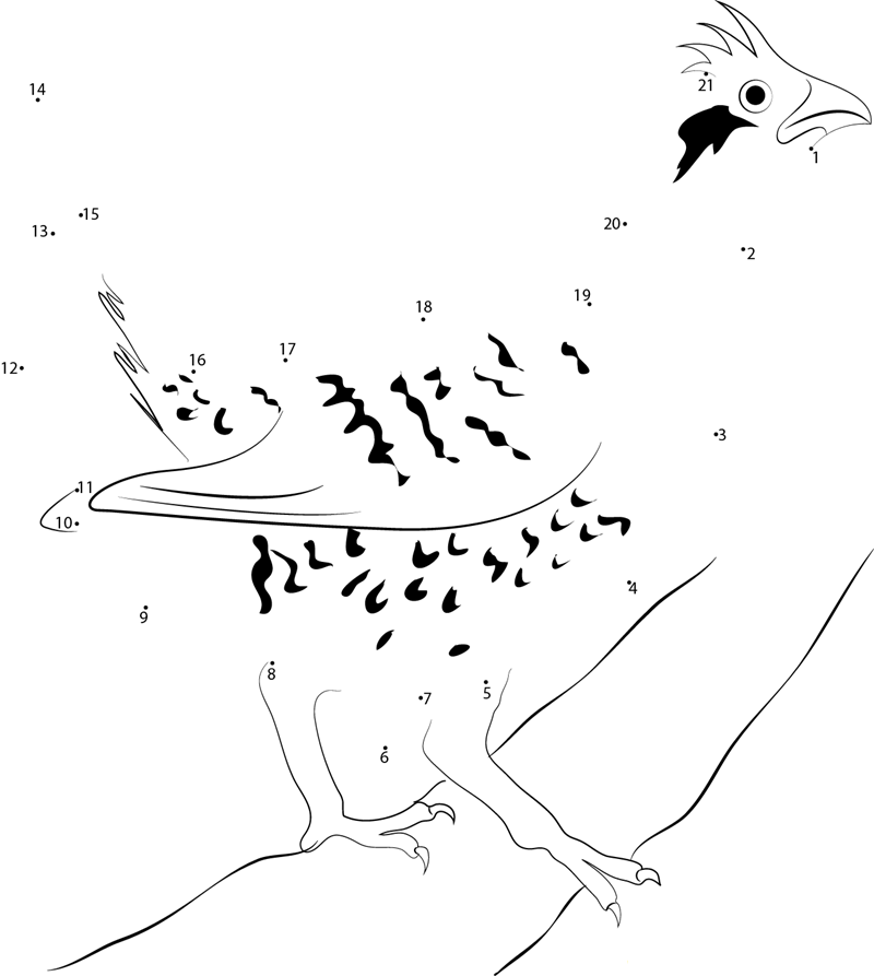 Grouse Standing On A Fallen Tree printable dot to dot worksheet