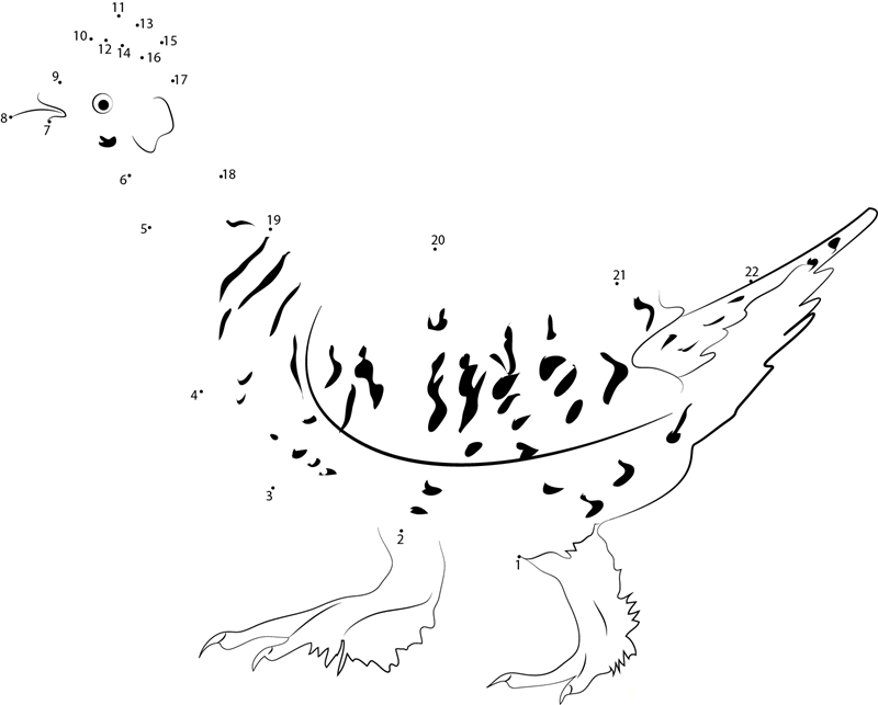 Sharptailed Grouse Walk printable dot to dot worksheet