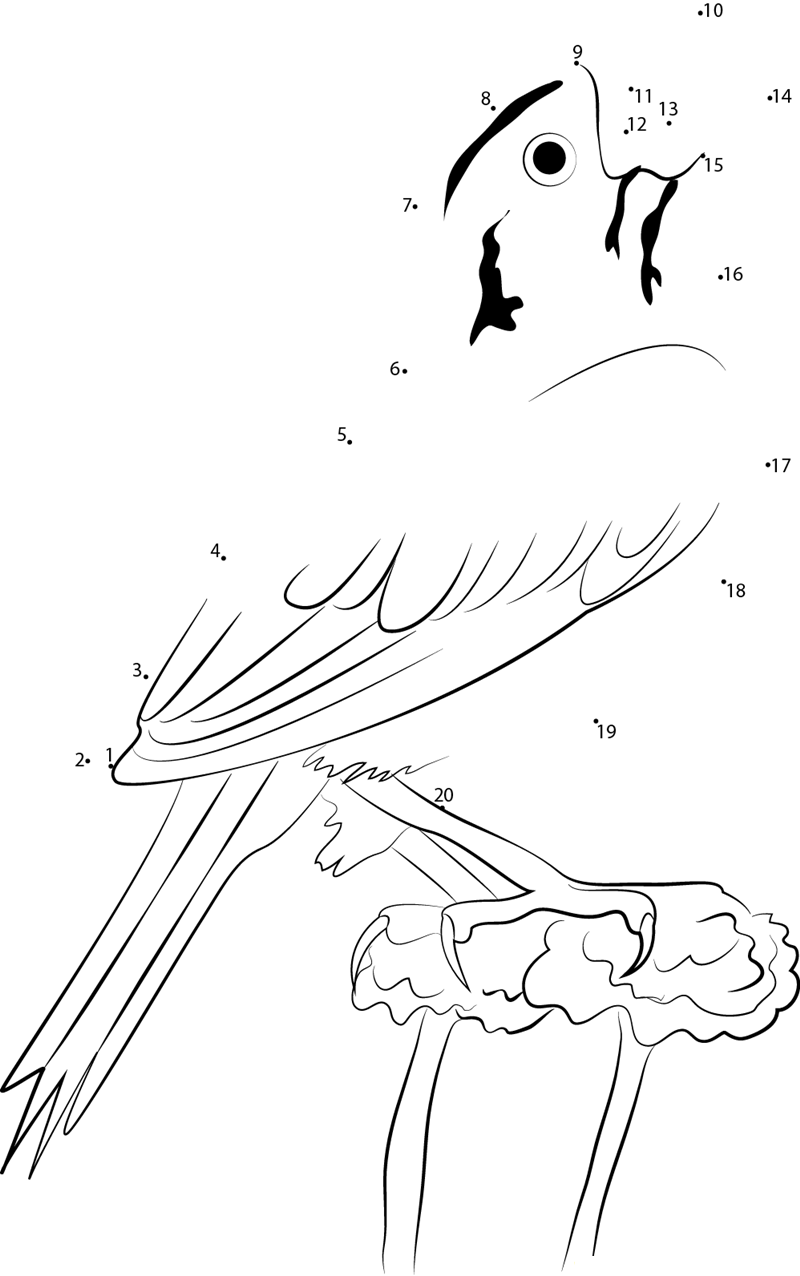 Henslows Sparrow Big printable dot to dot worksheet